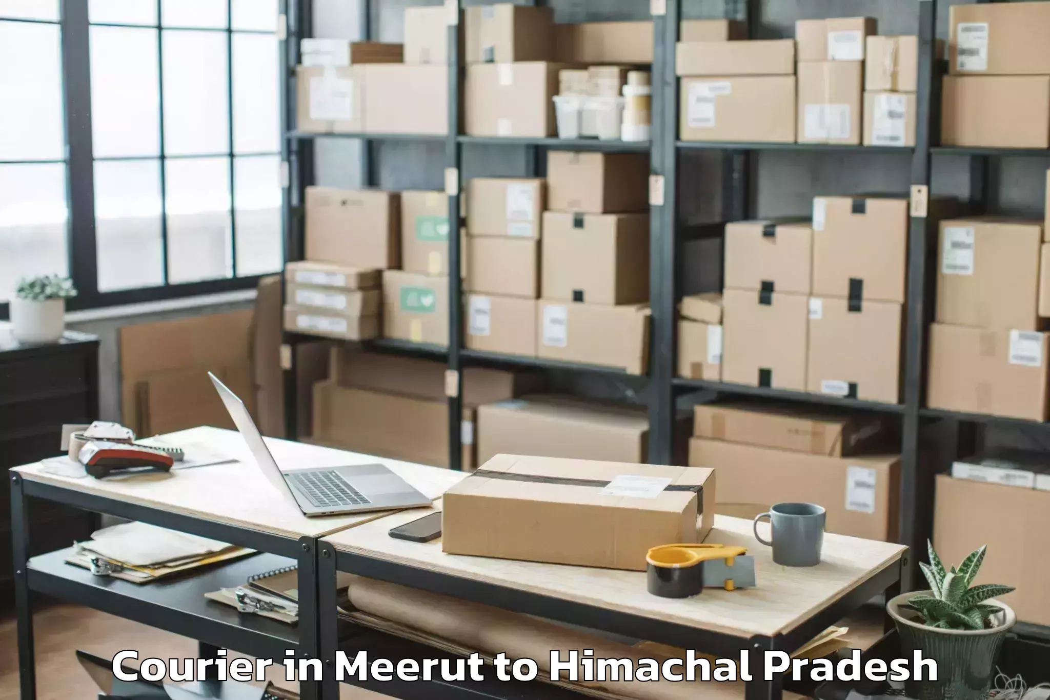 Top Meerut to Baru Sahib Courier Available